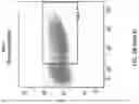 Fig. 16 - METHODS OF MAKING CHIMERIC ANTIGEN RECEPTOR-EXPRESSING CELLS
