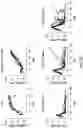 Fig. 17 - METHODS OF MAKING CHIMERIC ANTIGEN RECEPTOR-EXPRESSING CELLS