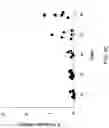 Fig. 22 - METHODS OF MAKING CHIMERIC ANTIGEN RECEPTOR-EXPRESSING CELLS