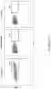 Fig. 28 - METHODS OF MAKING CHIMERIC ANTIGEN RECEPTOR-EXPRESSING CELLS