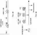 Fig. 31 - METHODS OF MAKING CHIMERIC ANTIGEN RECEPTOR-EXPRESSING CELLS