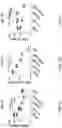 Fig. 41 - METHODS OF MAKING CHIMERIC ANTIGEN RECEPTOR-EXPRESSING CELLS