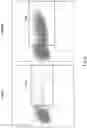Fig. 42 - METHODS OF MAKING CHIMERIC ANTIGEN RECEPTOR-EXPRESSING CELLS