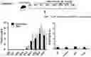 Fig. 01 - METHODS OF INDUCING OR RESTORING IMMUNE TOLERANCE