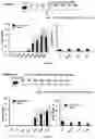 Fig. 02 - METHODS OF INDUCING OR RESTORING IMMUNE TOLERANCE