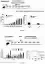 Fig. 03 - METHODS OF INDUCING OR RESTORING IMMUNE TOLERANCE