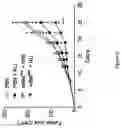 Fig. 08 - COMBINED PHARMACEUTICAL COMPOSITION