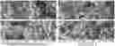 Fig. 01 - Hemostatic agent and container containing the same