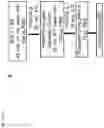 Fig. 24 - METHODS AND COMPOSITIONS FOR THE TREATMENT OF CORONAVIRUS INFECTION, INCLUDING SARS-COV-2