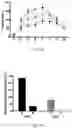 Fig. 18 - TREATMENT OF PRURITUS IN HORSES