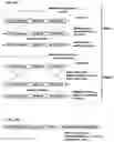 Fig. 07 - Vaccines