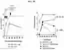 Fig. 18 - Vaccines