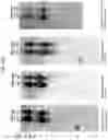 Fig. 27 - Vaccines