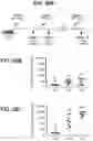 Fig. 26 - compositions and methods thereof