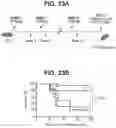 Fig. 29 - compositions and methods thereof