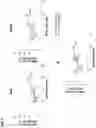 Fig. 04 - ADJUVANTED MULTIVALENT INFLUENZA VACCINES