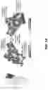 Fig. 02 - MULTIVALENT CARRIERS AND RELATED VACCINE COMPOSITIONS