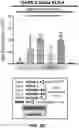 Fig. 10 - MULTIVALENT CARRIERS AND RELATED VACCINE COMPOSITIONS