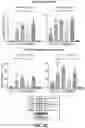 Fig. 11 - MULTIVALENT CARRIERS AND RELATED VACCINE COMPOSITIONS
