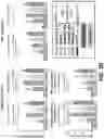 Fig. 12 - MULTIVALENT CARRIERS AND RELATED VACCINE COMPOSITIONS
