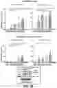 Fig. 13 - MULTIVALENT CARRIERS AND RELATED VACCINE COMPOSITIONS
