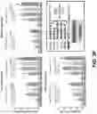 Fig. 14 - MULTIVALENT CARRIERS AND RELATED VACCINE COMPOSITIONS