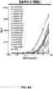 Fig. 15 - MULTIVALENT CARRIERS AND RELATED VACCINE COMPOSITIONS