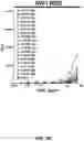 Fig. 18 - MULTIVALENT CARRIERS AND RELATED VACCINE COMPOSITIONS