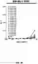 Fig. 20 - MULTIVALENT CARRIERS AND RELATED VACCINE COMPOSITIONS