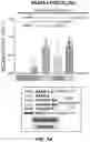 Fig. 28 - MULTIVALENT CARRIERS AND RELATED VACCINE COMPOSITIONS