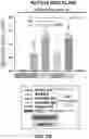 Fig. 29 - MULTIVALENT CARRIERS AND RELATED VACCINE COMPOSITIONS