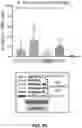 Fig. 44 - MULTIVALENT CARRIERS AND RELATED VACCINE COMPOSITIONS