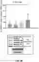 Fig. 46 - MULTIVALENT CARRIERS AND RELATED VACCINE COMPOSITIONS