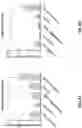 Fig. 06 - EXTRACELLULAR VESICLES FOR VACCINE DELIVERY