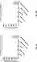 Fig. 07 - EXTRACELLULAR VESICLES FOR VACCINE DELIVERY