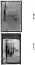 Fig. 30 - EXTRACELLULAR VESICLES FOR VACCINE DELIVERY
