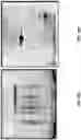 Fig. 33 - EXTRACELLULAR VESICLES FOR VACCINE DELIVERY