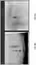 Fig. 35 - EXTRACELLULAR VESICLES FOR VACCINE DELIVERY
