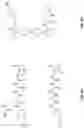 Fig. 41 - EXTRACELLULAR VESICLES FOR VACCINE DELIVERY
