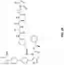 Fig. 45 - EXTRACELLULAR VESICLES FOR VACCINE DELIVERY
