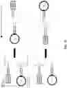 Fig. 47 - EXTRACELLULAR VESICLES FOR VACCINE DELIVERY