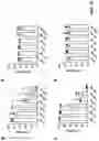 Fig. 18 - PREVENTION OR MITIGATION OF T-CELL ENGAGING AGENT-RELATED ADVERSE EFFECTS