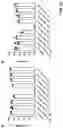Fig. 32 - PREVENTION OR MITIGATION OF T-CELL ENGAGING AGENT-RELATED ADVERSE EFFECTS