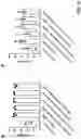 Fig. 46 - PREVENTION OR MITIGATION OF T-CELL ENGAGING AGENT-RELATED ADVERSE EFFECTS