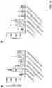 Fig. 47 - PREVENTION OR MITIGATION OF T-CELL ENGAGING AGENT-RELATED ADVERSE EFFECTS