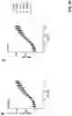Fig. 71 - PREVENTION OR MITIGATION OF T-CELL ENGAGING AGENT-RELATED ADVERSE EFFECTS