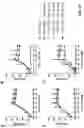 Fig. 81 - PREVENTION OR MITIGATION OF T-CELL ENGAGING AGENT-RELATED ADVERSE EFFECTS