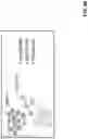 Fig. 83 - PREVENTION OR MITIGATION OF T-CELL ENGAGING AGENT-RELATED ADVERSE EFFECTS
