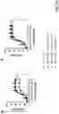 Fig. 89 - PREVENTION OR MITIGATION OF T-CELL ENGAGING AGENT-RELATED ADVERSE EFFECTS