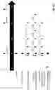 Fig. 98 - PREVENTION OR MITIGATION OF T-CELL ENGAGING AGENT-RELATED ADVERSE EFFECTS